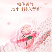 Liby 立白 大师香氛洗衣粉 350g*2袋