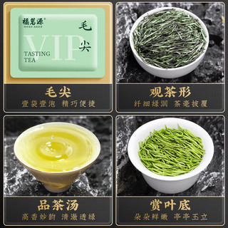 福茗源FUMINGYUAN TEA 组合茶叶 贵宾龙井茶毛尖茶碧螺春绿茶18g明前2024新茶盒装6小泡