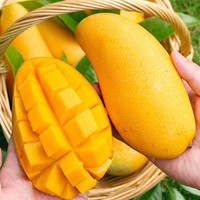 鲜其海南金煌芒果新鲜现摘现发当季整箱水果特大热带芒果甜心青 海南金煌芒C 中果4斤