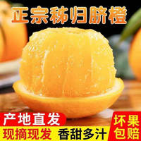 集南鲜 湖北脐橙 秭归橙子新鲜现摘水果脐橙时令生鲜水果甜橙 水果礼盒 含箱10斤（60-65mm）