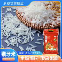 乡谷坊 猫牙米长粒新米煲仔饭5kg大米丝苗米5斤10斤20斤优质香米