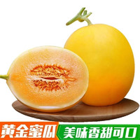 黄金蜜瓜 当季新鲜水果 黄河蜜瓜5斤装（2-3个）
