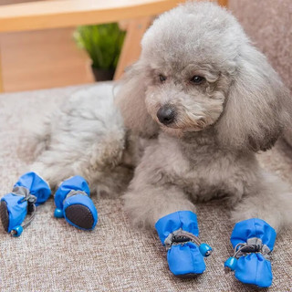 Lanswood 狗狗鞋子夏季狗狗雨鞋防水硅胶狗鞋小型犬狗鞋子中型犬泰迪小狗猫咪防脏比熊宠物雨鞋金毛 蓝色  薄款  4号/L【体重7-10斤】