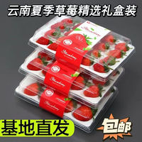 钱小二 新鲜草莓 9盒/每盒15粒礼盒装