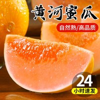 钱小二 黄河蜜瓜 9斤（3-5个）