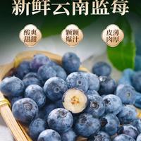 誉福园 云南新鲜蓝莓 70g*8盒