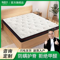 伯蒂夫 环保椰棕床垫家用家居宿舍定制可拆洗薄款专用单人床垫