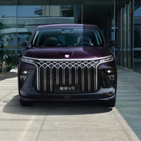 FORTHING 东风风行 星海V9 24款 中国结系列 1.5T 200km 豪华型