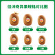 Zespri 佳沛 阳光金果 奇异果