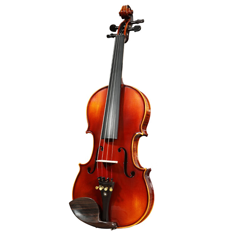 L5 小提琴