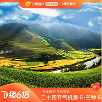 超多热门目的地！有贵阳、有成都、有长沙！飞猪二十四节气系列·芒种经济舱单程机票卡