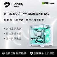 MLOONG 名龙堂 i5 12600KF/13600KF/14600KF/RTX4070SUPER台式DIY电脑主机