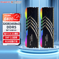 阿斯加特（Asgard）32GB(16Gx2)套装 DDR5