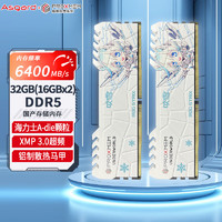 阿斯加特（Asgard）32GB(16Gx2)套装 DDR5 6400 台式机内存条 博德斯曼-熔岩 吹雪系列 海力士A-die颗粒