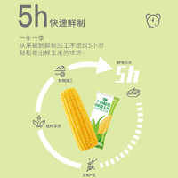SHI YUE DAO TIAN 十月稻田 鲜食黄糯玉米东北苞米大棒5只装真空包装糯玉米新鲜早餐