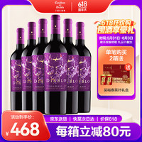 红魔鬼 干露红魔鬼智利原瓶进口红酒 魔神炫紫限量系列  750ml 整箱装