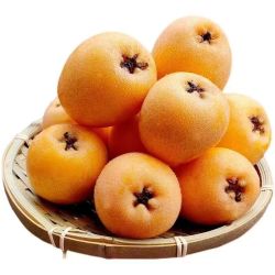 5元】尹福记其他水果_尹福记 四川大五星枇杷 2.