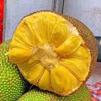Kaooseen 靠森 海南黄肉菠萝蜜  20-25斤/1个