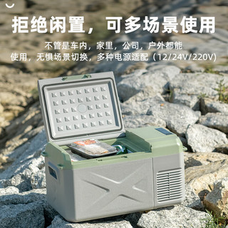 冰虎（Alpicool）车载冰箱压缩机制冷18升车家两用轿车12V货车24V可结冰冷冻冷藏箱