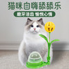 茨格曼 薄荷球猫玩具自嗨解闷幼猫猫咪用品大全猫草球磨牙棒逗猫棒