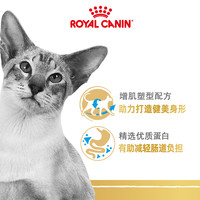 88VIP：ROYAL CANIN 皇家 猫粮暹罗猫成猫粮斯芬克斯无毛猫孟加拉豹猫缅因品种全价主粮