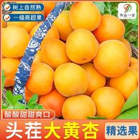 百亿补贴：御品一园 大黄杏子新鲜水果2.8斤金太阳杏孕妇酸甜脆整箱包邮批发