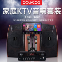 POLVCOG 铂典 典家庭ktv音响套装全套专业家用K歌点歌机卡拉OK会议客厅音箱