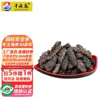 千舟岛 珍品淡干海刺参6-7年干货 60-80只较小实惠250g简装