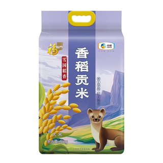 雪国稻香香稻贡米 5kg/袋