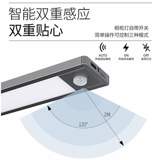 飞利浦无线感应橱柜灯led可充电衣橱宿舍感应灯条 【27cm-光感人感】暖白 1000mAh