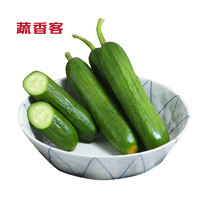 蔬香客 水果黄瓜 5斤装 新鲜蔬菜 无刺小黄瓜 健康轻食 寿光蔬菜源头直发