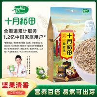 SHI YUE DAO TIAN 十月稻田 藜麦米 1kg