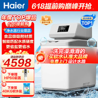Haier 海尔 中央软水机 家用全屋净水软  HZR12-0914DU1-1.2T智美软水机
