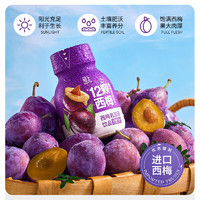 YETAI 椰泰 0添加蔗糖 膳食纤维浓缩 西梅乳酸菌138ml*3瓶