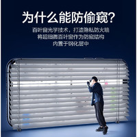 BINXIN 奔信 华为P50/e钢化膜 防窥隐私保护