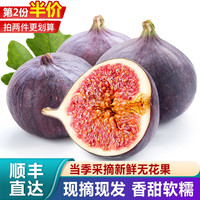禾语鲜 无花果现摘紫皮无花果 新鲜红皮无花果新鲜水果 精选500g（买两份更划算）