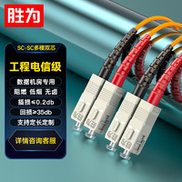 shengwei 胜为 FMC-201 电信级光纤跳线 SC-SC网线多模双芯 收发器尾纤 3米