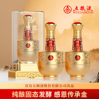 WULIANGYE 五粮液 感恩传承金 52度浓香型白酒 500ml 2瓶