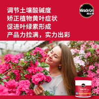 Mracle.Gro 美乐棵 硫酸亚铁花肥料三角梅栀子花茶花茉莉花喜酸螯合铁专用水溶