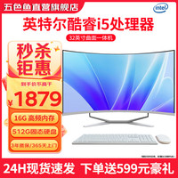 五色鱼32英寸高清曲面商用办公娱乐一体机台式电脑(酷睿i5/16G/512G固态 WiFi) 2024款 32英寸/酷睿i5/16G/512G固态