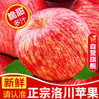 知鲜湾 陕西洛川苹果红富士整箱 净重8.5斤