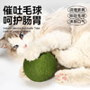 88VIP：疯狂的主人 猫玩具猫薄荷球超大自嗨解闷神器猫咪用品大全逗猫棒宠物玩具磨牙