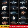 童德 海洋动物玩具仿真动物模型生物鲨鱼鲸鱼海豚企鹅海龟螃蟹儿童