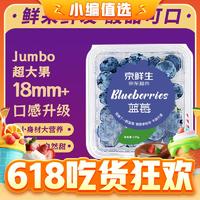 Mr.Seafood 京鲜生 国产蓝莓4盒装（果径18mm+）（每盒9.9元，可搭配阳山水蜜桃）