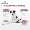 88VIP：ROYAL CANIN 皇家 小型犬幼犬营养粮50g