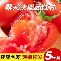 百亿补贴：夏趣 山东西红柿番茄新鲜透心红新鲜现摘整箱非普罗旺斯3斤装