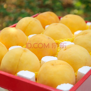 ZOCO蒙阴黄金蜜桃 新鲜黄毛桃子 当季时令水果 精选黄桃5斤装 净重4.5斤 10-14个