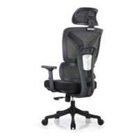 菲迪-至成 F181 人體工學椅 海綿座墊+2D扶手+3D腰托-黑升級版