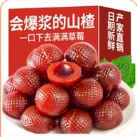 仁心食匠爆浆山楂酸甜美味105g水果爆浆山楂丸蓝莓秋梨草莓航天松鼠 爆浆山楂105g*3袋草莓口味