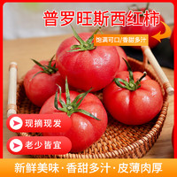 生鲜慕 山东普罗旺斯西红柿净重4.5斤装 可生吃 番茄 新鲜蔬菜 源头直发